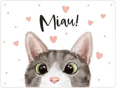 Produktbild von Miau Katze Metallschild XL in 21x28 cm