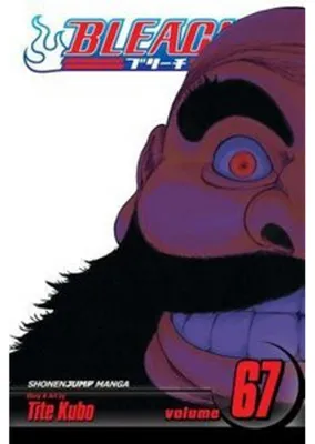 Image de Bleach, Vol. 67
