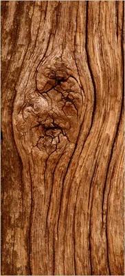 Produktbild von Türtapete Türposter Holzstamm mit Asteinschluss - Größe: 93 x 205 cm