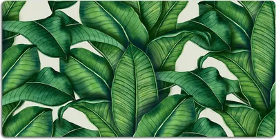 Produktbild von Schreibtischmatte Tischunterlage 100x50 cm Mauspad - Botanische Blätter