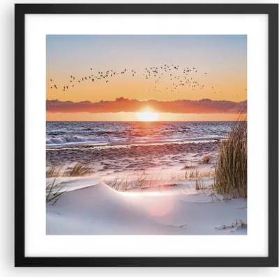 Produktbild von Gerahmtes Poster - Schwarzer Rahmen - Sonne Strand Vögel - 40x40 cm - Wand Bild - Wanddeko - Wandbilder - Kunstposter - Wandposter - Bilderrahmen - Bilder - Kunstdruck - P2BAC40x40-4727
