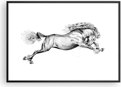 Produktbild von Gerahmtes Poster - Schwarzer Rahmen - Pferd Zeichnung Bleistift - 100x70 cm - Wand Bild - Wanddeko - Wandbilder - Kunstposter - Wandposter - Bilderrahmen - Bilder - Kunstdruck - P2BAA100x70-4906