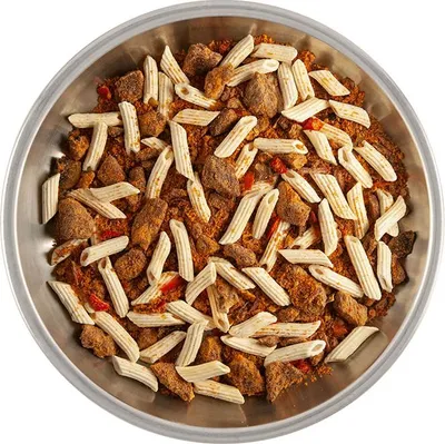 Obrázek produktu pro Mrazem sušené potraviny LYOFOOD Strogonov 370 g