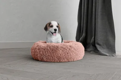Immagine prodotto di "Sogni d'Italia" - Casetta per animali, motivo rosa, 50 x 50 x 20 cm