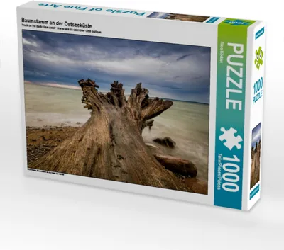 Produktbild von Calvendo Baumstamm an der Ostseeküste 1000 Teile Puzzle quer 640x480mm, Ködder Rico; 7282886