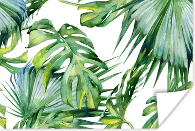 Produktbild von MuchoWow® Poster Monstera - Muster - Aquarell - Mädchen - Kinder - Jungen - Kinder 120x80 cm - Bilder