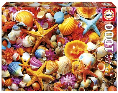 Immagine prodotto di Puzzle - EDUCA - Collage of Shells - 1000 pieces - 68x48 cm - from 12 years old