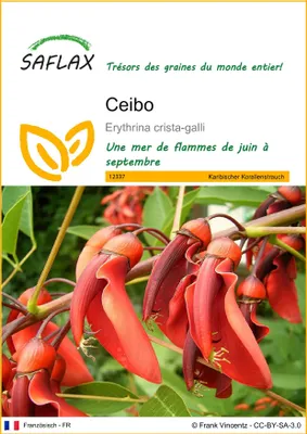 Image de SAFLAX  - Ceibo - 6 graines - Erythrina
