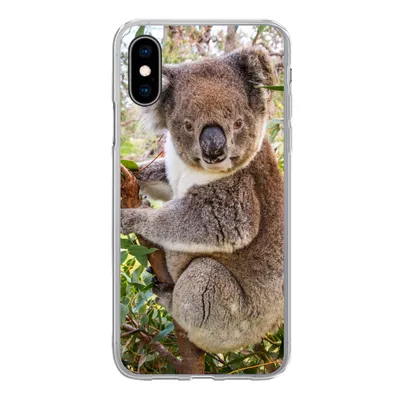 Produktbild von MuchoWow® Handyhülle Schutzhülle Hülle für iPhone X Koala - Blätter - Kinder - Jungen - Mädchen Silikon Softcase Handy Hülle - Handyhülle