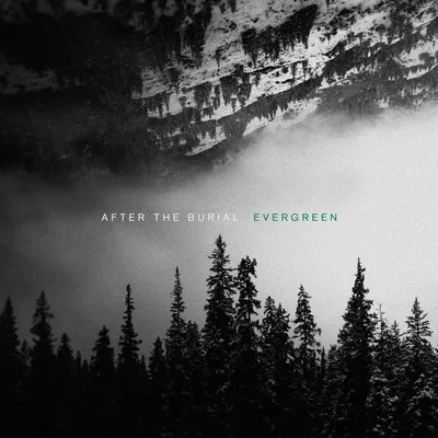 Zdjęcie produktu dla After the Burial - Evergreen (Reissue) (LP)