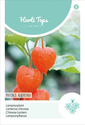 Produktbild von Lampionpflanze | Blumensamen von Hortitops