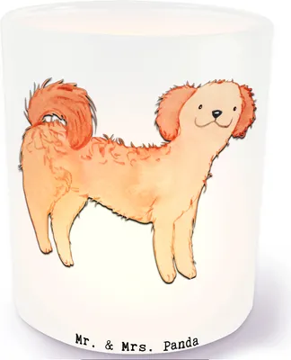 Produktbild von Mr. & Mrs. Panda Kerzenhalter Cavapoo Lebensretter - Transparent - Geschenk, Windlicht aus Glas, Cavoodle, Teelichthalter, Outdoor