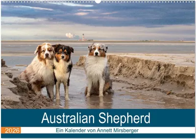 Produktbild von Australian Shepherd 2026 (Wandkalender 2026 DIN A2 quer), CALVENDO Monatskalender