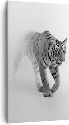 Produktbild von Bild auf Leinwand - Leinwandbild - Einteilig - Tiger Monochrom Porträt - 45x80cm - Wand Bild - Wanddeko - Wandbilder - Leinwanddruck - Bilder - Wanddekoration - Leinwand bilder - PA45x80-4626