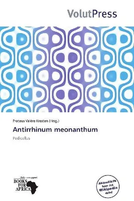 Produktbild von Antirrhinum meonanthum