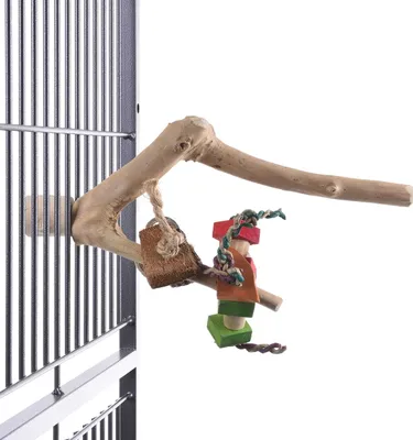 Immagine prodotto di JAVA con giocattoli - Un palo in legno indistruttibile di java per pappagalli di medie e piccole dimensioni