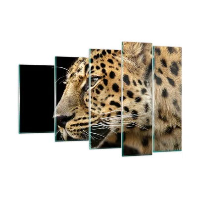 Produktbild von Bilder auf glas - Tiere Leopard wilde Katze wilde Tiere - 150x100cm - Glasbilder - Wandbilder - Kunstdruck - Wanddekoration aus Glas - Glas Bilder - Wandbild auf Glas - GEG150x100-0433