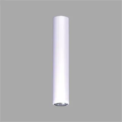 Zdjęcie produktu dla Reflektor spot TUBA biały 1xGU10x50W metal wym:30x6x5cm IP20 Kaja