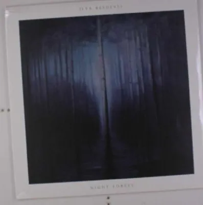 Image de Beshevli,Ilya-Forêt de nuit