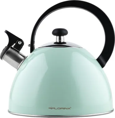 Produktbild von FLORINA Wasserkessel (2 l) | Edelstahl Teekessel BRILLO | Flötenkessel mit Bakelitgriff | Kratzfester | Wasserkocher für Induktionsherd, Gasherd und Elektroherd | Farbe: Minze