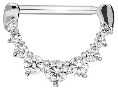 Produktbild von Brustwarzenpiercing, Chirurgenstahl Nippelpiercing Clicker 9 KRISTALLE Silber Stablänge: 14mm