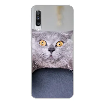 Produktbild von MuchoWow® Handyhülle Schutzhülle Hülle für Samsung Galaxy A70 Katze - Angst - Stuhl Silikon Softcase Handy Hülle - Schutzhaube