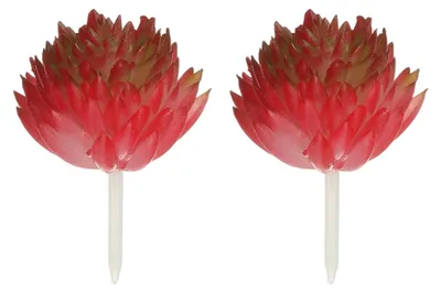 Künstliche Sukkulenten 2er-Set, rot, 6 cm, PVC, Dekoblumen
