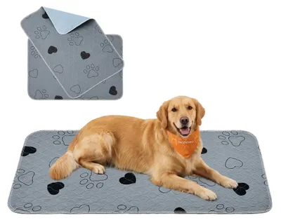 Immagine prodotto di Tappetini assorbenti lavabili per cani, impermeabili, a 4 strati, confezione da 2