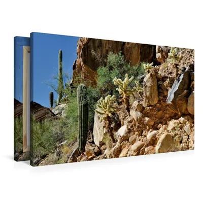 Produktbild von Calvendo  Textil-Leinwand 90 cm x 60 cm quer Kakteen-Landschaft, Wilczek Dieter-M.; 7321430
