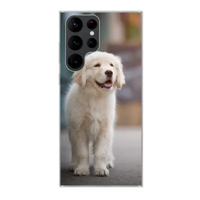 Produktbild von MuchoWow® Handyhülle Schutzhülle Hülle für Samsung Galaxy S22 Ultra Ein Golden Retriever Welpe läuft auf dem Bürgersteig Silikon Softcase Handy Hülle - Abbildung