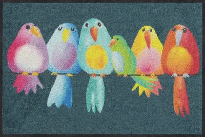 Produktbild von Salonloewe RAINBOW BIRDS Fußmatte Wohnmatte 50 x 75 cm