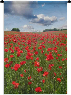 Produktbild von MuchoWow® Wandteppich Wandbehang Mohnblumen - Himmel - Blumen 90x135 cm Tapisserie Dekoration Wandtuch - Baumwolle - Wandskulptur