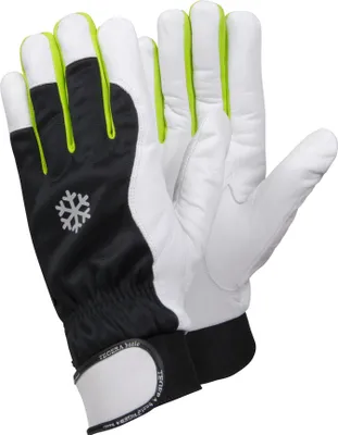 Produktbild von Ejendals Tegera® 335 Kälteschutzhandschuh mit Fingerverstärkungen für sicheren Griff und Fingerspitzengefühl (6 Paar)