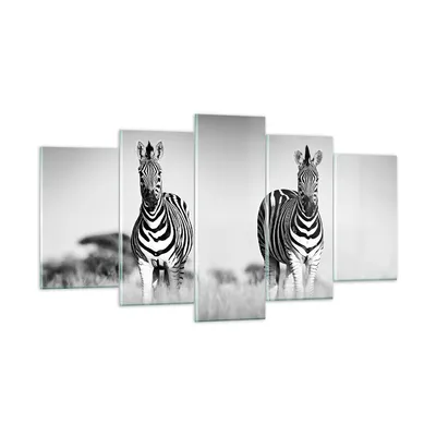 Produktbild von Bilder auf glas - 5 Teile - Zebras Fotografie Schwarzweiß - 160x85cm - Glasbilder - Wandbilder - Bilder - Wanddekoration aus Glas - Glas Bilder - Wandbild auf Glas - GEA160x85-4476