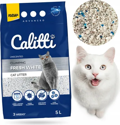 Produktbild von Katzenstreu Bentonit klumpend für Katzen 5L