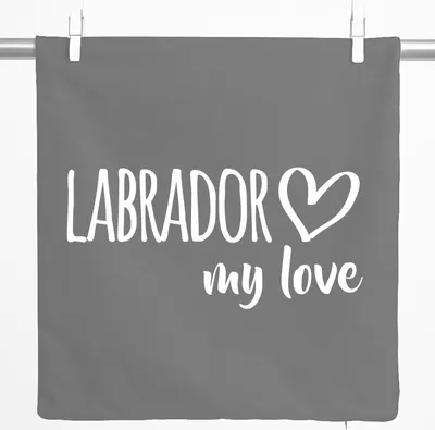 Produktbild von Huuraa Kissenbezug Labrador my love 40x40cm Steel Grey Baumwolle Dekokissenbezug Geschenkidee
