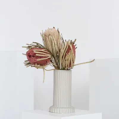 Produktbild von Lykke&You Trockenblume Banksia, weinrot / 30 cm