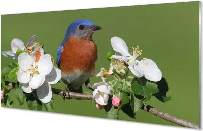 Produktbild von Glasbilder 140x70 Wandkunst Blumen bunter Papagei