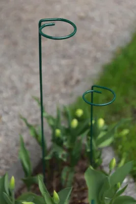 Produktbild von Kasvien Tukilammikko 90Cm - Big-Pdro90