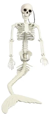 Produktbild von Skelett in Lebensgröße – Halloween-Dekoration – Meerjungfrau – Bewegliche Gelenke – Dekoration für den Eingangsbereich – Kunststoffmaterial