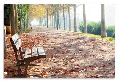 Produktbild von Wallario Frühstücksbrettchen aus Glas 20 x 30 cm mit rutschfesten Füßen, Motiv Einsame Parkbank an einer Allee - Herbststimmung