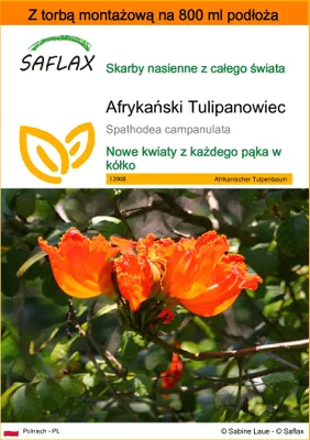 Zdjęcie produktu dla SAFLAX - Garden in the bag - Afrykański Tulipanowiec - 30 Nasiona - Z podłożem uprawowym w praktycznej, samorozkładającej się torbie - Spathodea campanulata