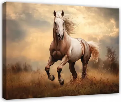 Produktbild von Wandbild Pferde Tiere - 120x80 cm - Leinwandbild - Bilder XXL - Wanddekoration - Leinwandbilder Wohnzimmer Schlafzimmer Flur