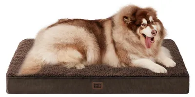 Produktbild von Orthopädisches Hundebett XXL 120x74cm Waschbar Braun