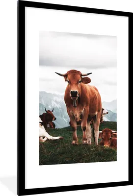 Produktbild von MuchoWow® Gerahmtes Poster Tiere - Kuh - Berg 60x90 cm - Poster mit Schwarzem Bilderrahmen Wandposter Rahmen Foto Bilder - Dekoration - Wandposter Wohnzimmer - Hochwertig