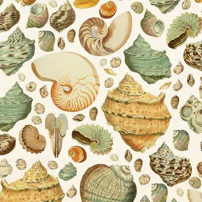 Immagine prodotto di Tovagliolo di carta Seashells