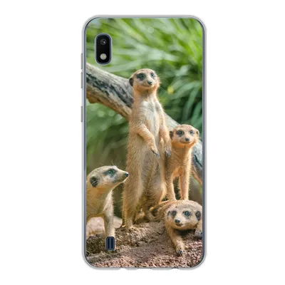 Produktbild von MuchoWow® Handyhülle Schutzhülle Hülle für Samsung Galaxy A10 Erdmännchen - Familie - Tiere Silikon Softcase Handy Hülle - Schutzhülle