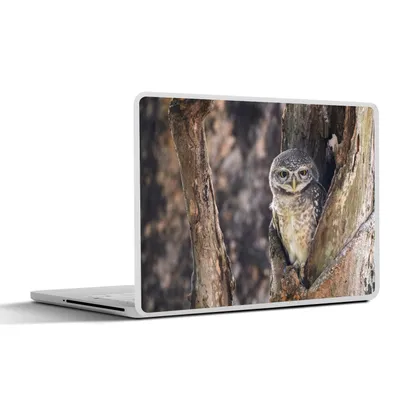 Produktbild von MuchoWow® Laptop Aufkleber Sticker Cover Eule - Baum - Wald 31x22.5 cm - Laptop-Deko