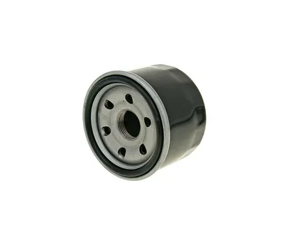 Immagine prodotto di Filtro Olio Moto Kymco Mxu 500 05-10