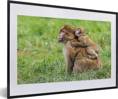 Produktbild von MuchoWow® MuchoWow® Gerahmtes Poster Affe - Baby - Gras 60x40 cm - Poster mit zchwarzem Bilderrahmen - Schlafzimmer - Plakat in Rahmen - Drucken